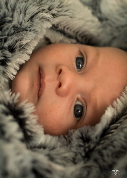 Photographie de bébé Son visage ressort d'une couverture duveteuse qui l'encadre